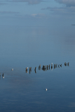 Daenemark_2024_-16