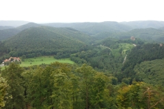 DSCF0774
