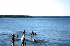 07