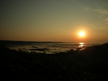 DSCN1616