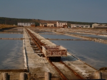 P1000610